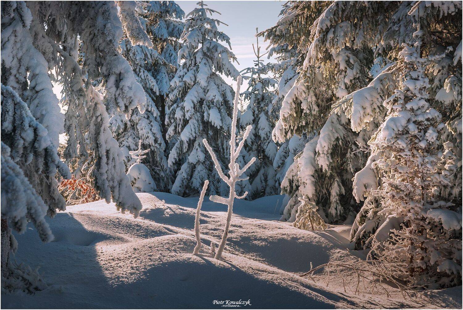 zima, polska, Kowalczyk Piotr