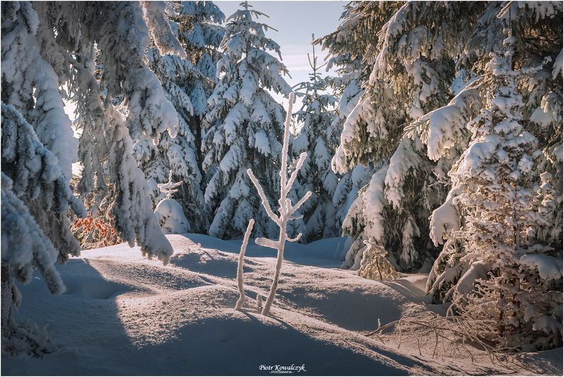 zima, polska Zima фото превью