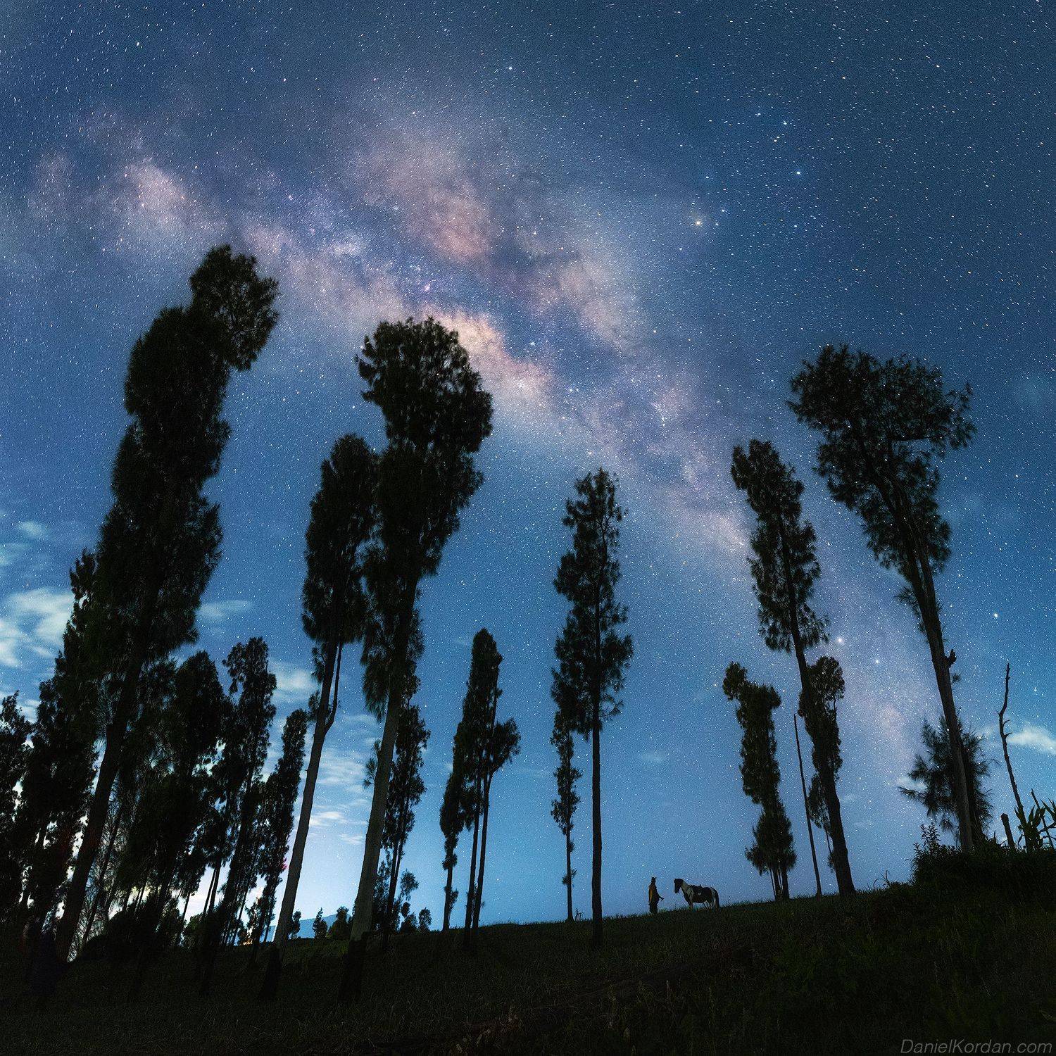 , Даниил Коржонов