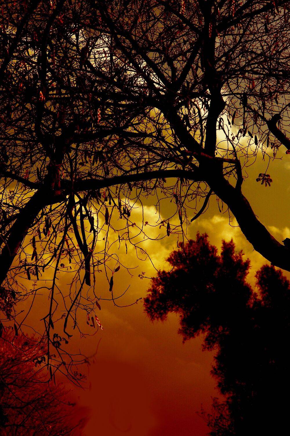 , غيث الساعدي