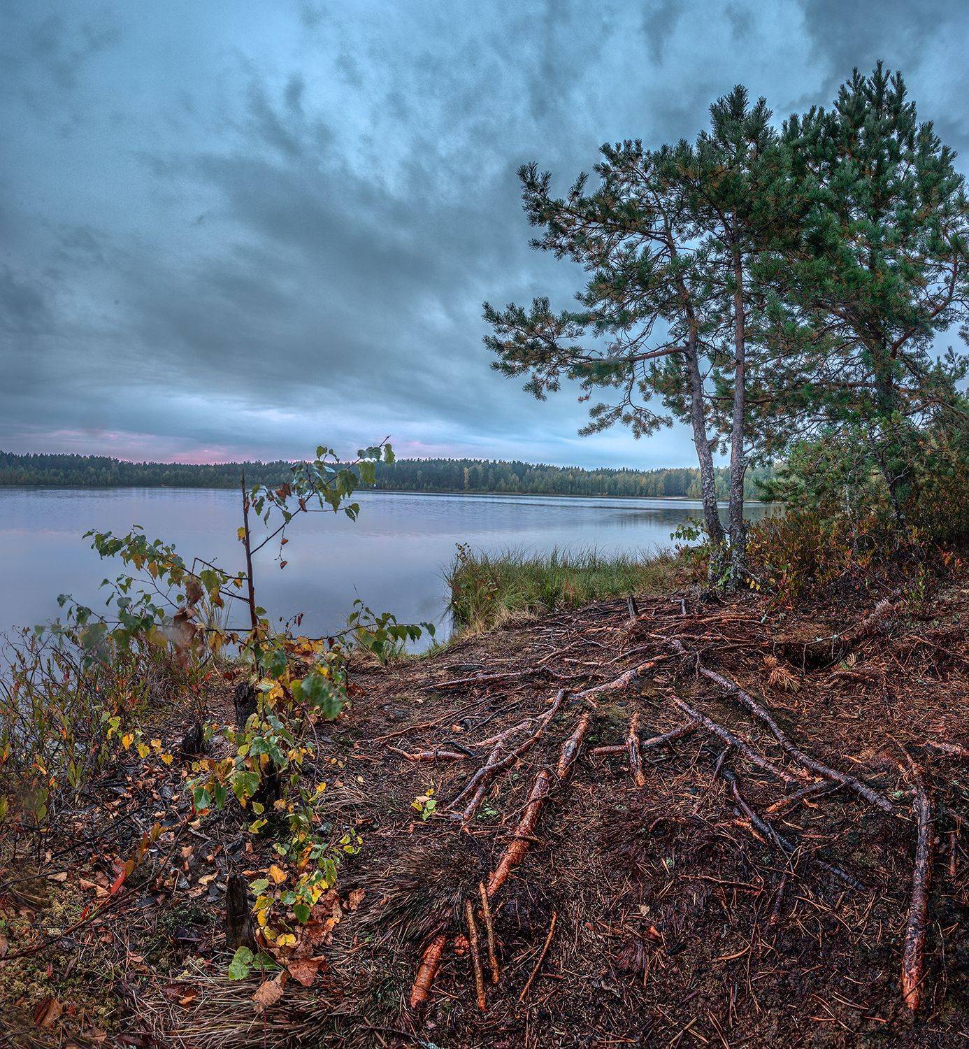 , Андреев Николай