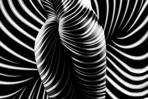 zebra nude art