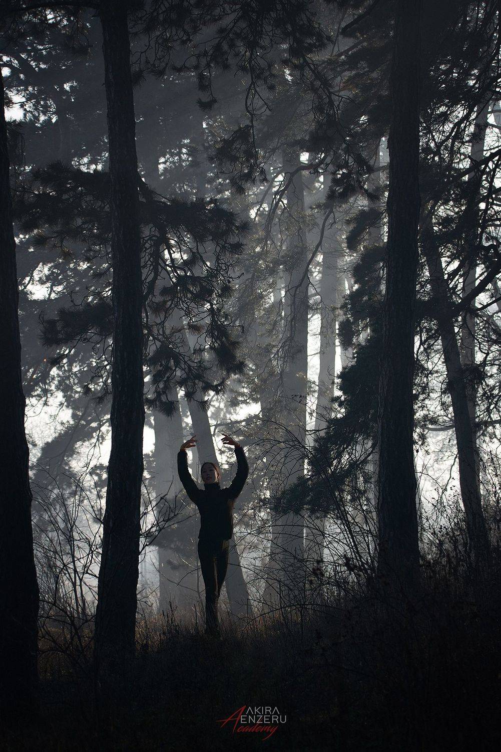 ballet ballerina outdoor, Akira Enzeru