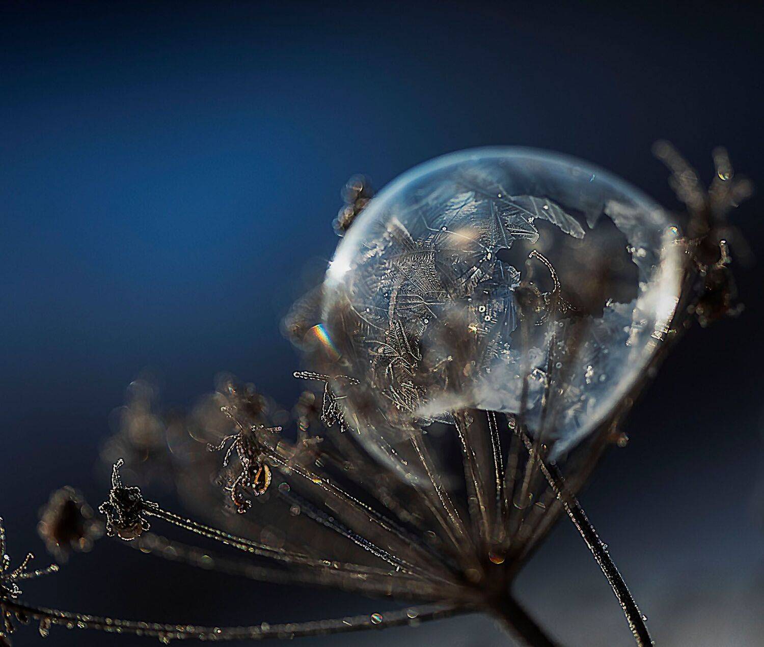 волшебство,шар, праздник,зима,красота, christmas, magic, ice, winter, nature, Стукалова Юлия