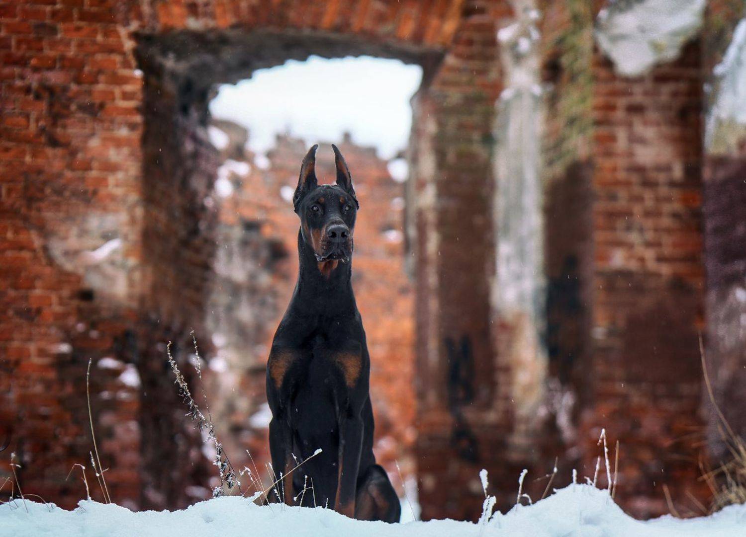 , Андрей Ершов