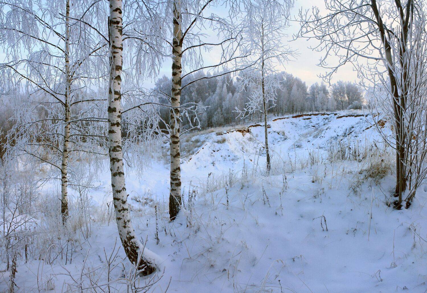 зима, лес , Александр Свистков