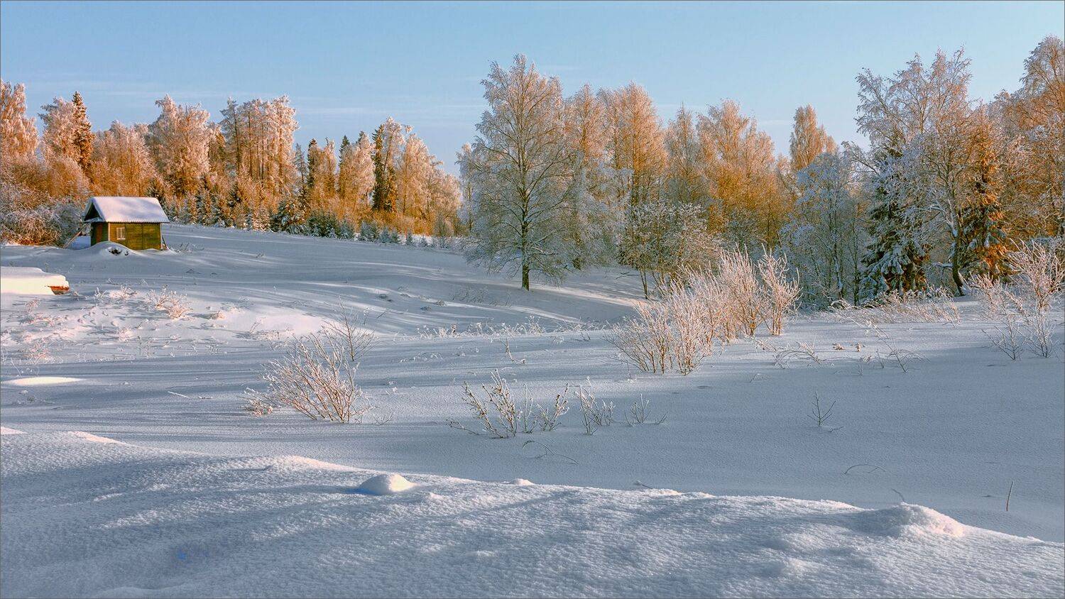 пейзаж, зима, утро, лес, свет, цвет, александр никитинский, Никитинский Александр