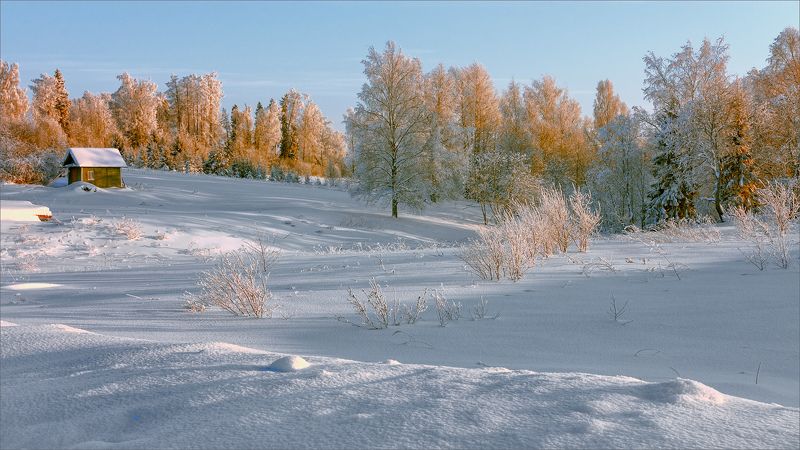 пейзаж, зима, утро, лес, свет, цвет, александр никитинский У леса на опушке... фото превью
