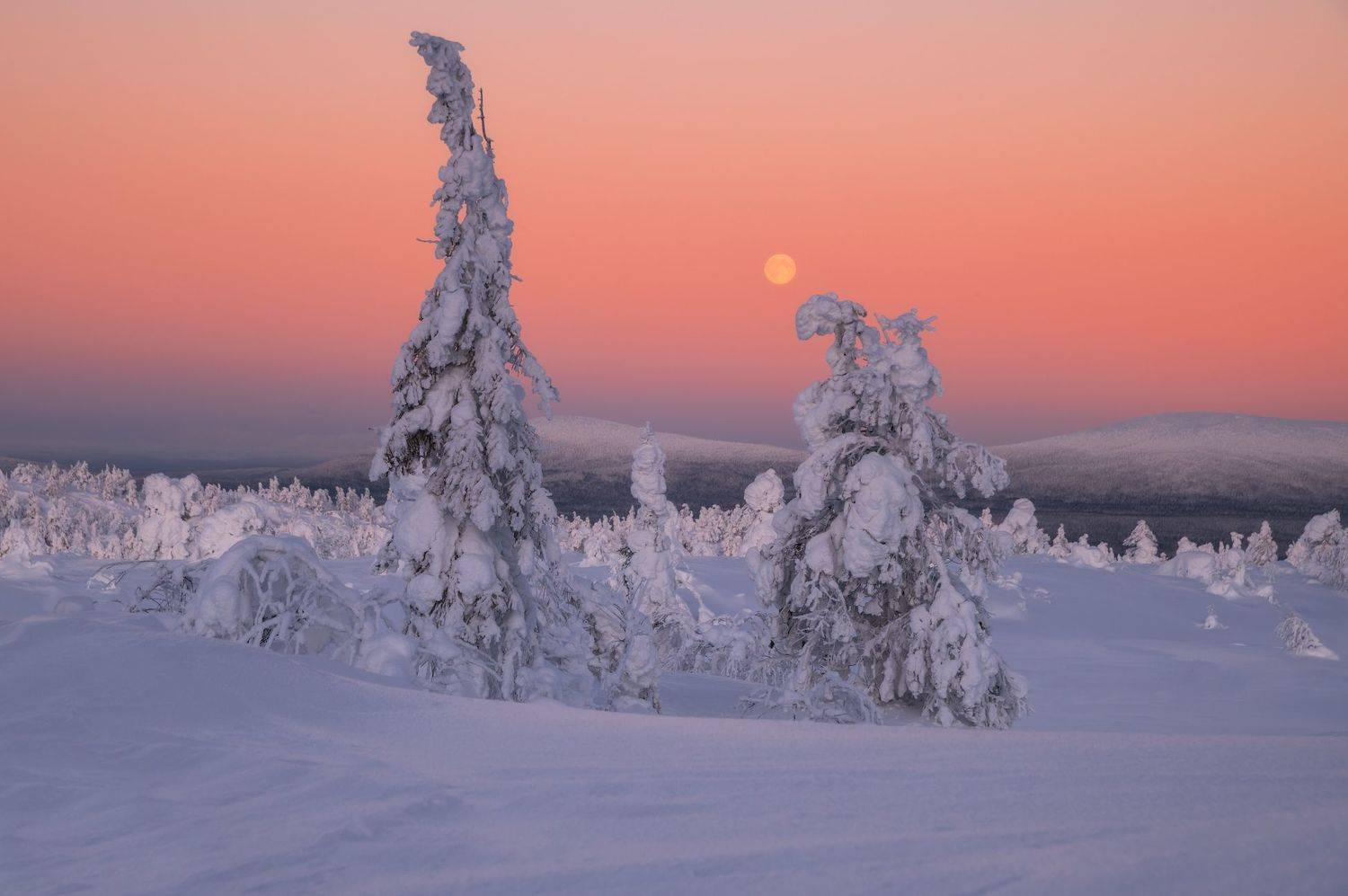 , Виталий Истомин