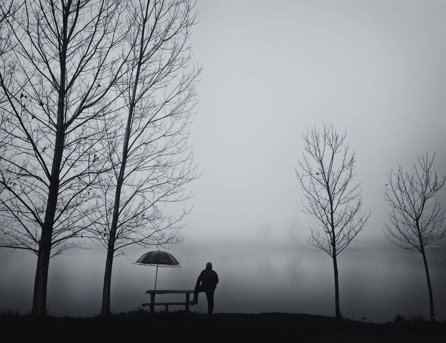 , Герчев Николай