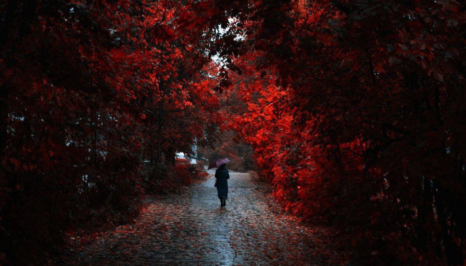 , Сергей Клапишевский