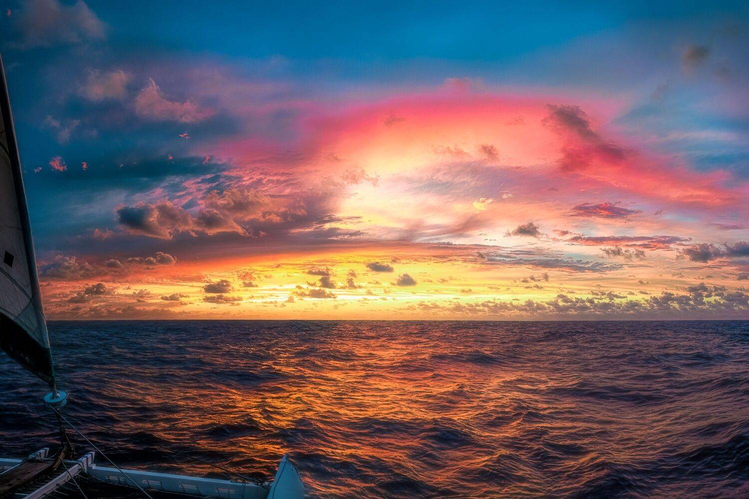 , Шварцман Евгений