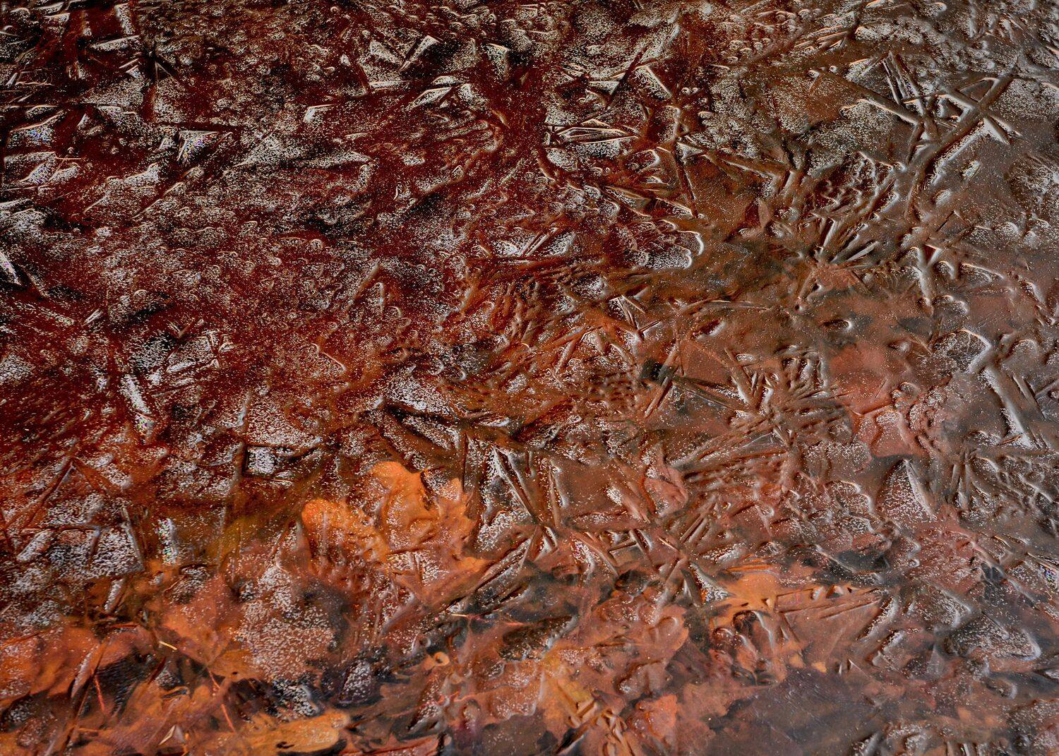 лед, пруд, парк, узоры,, Байдуков Александр