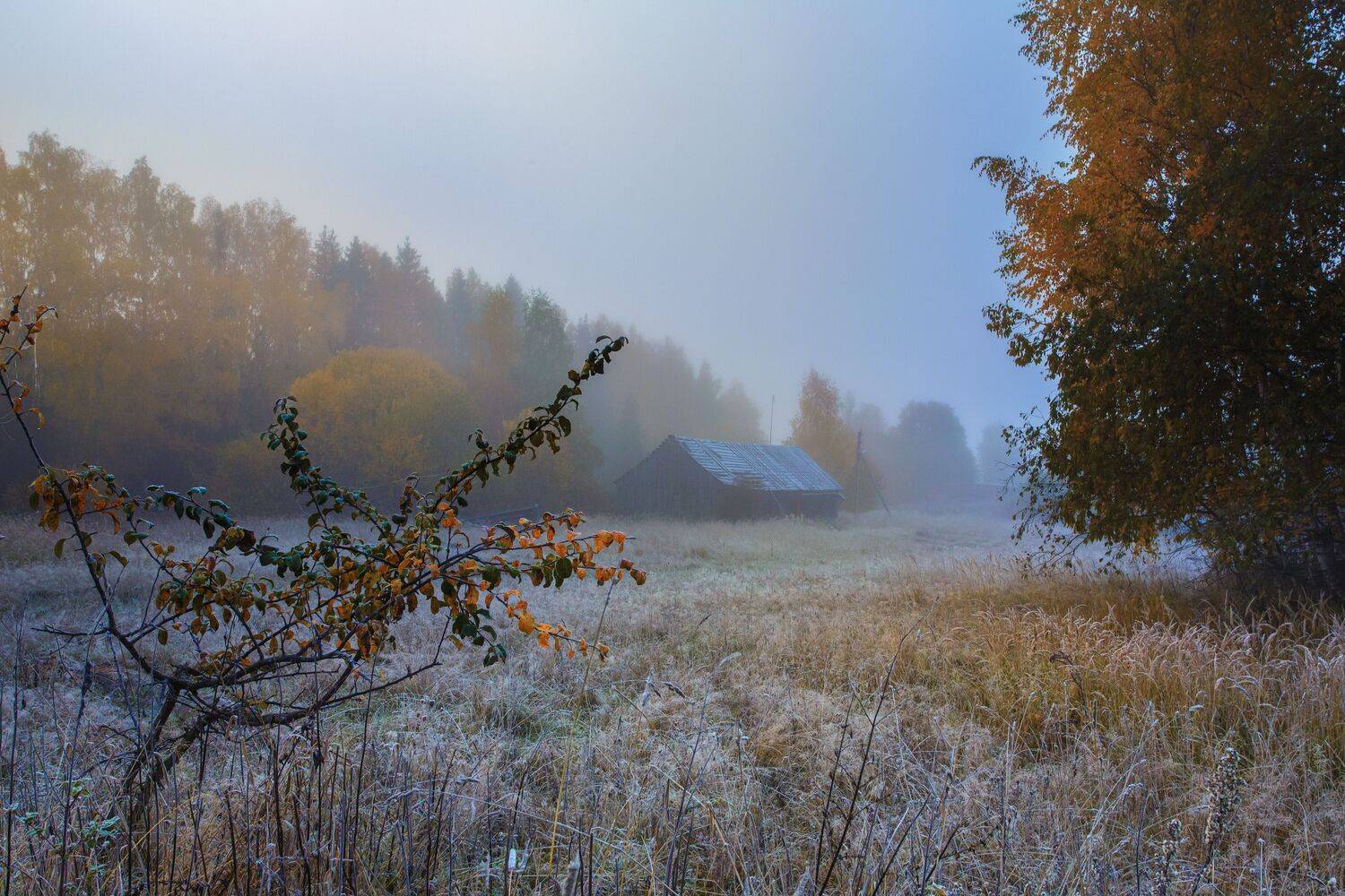 , Зеленько Дмитрий