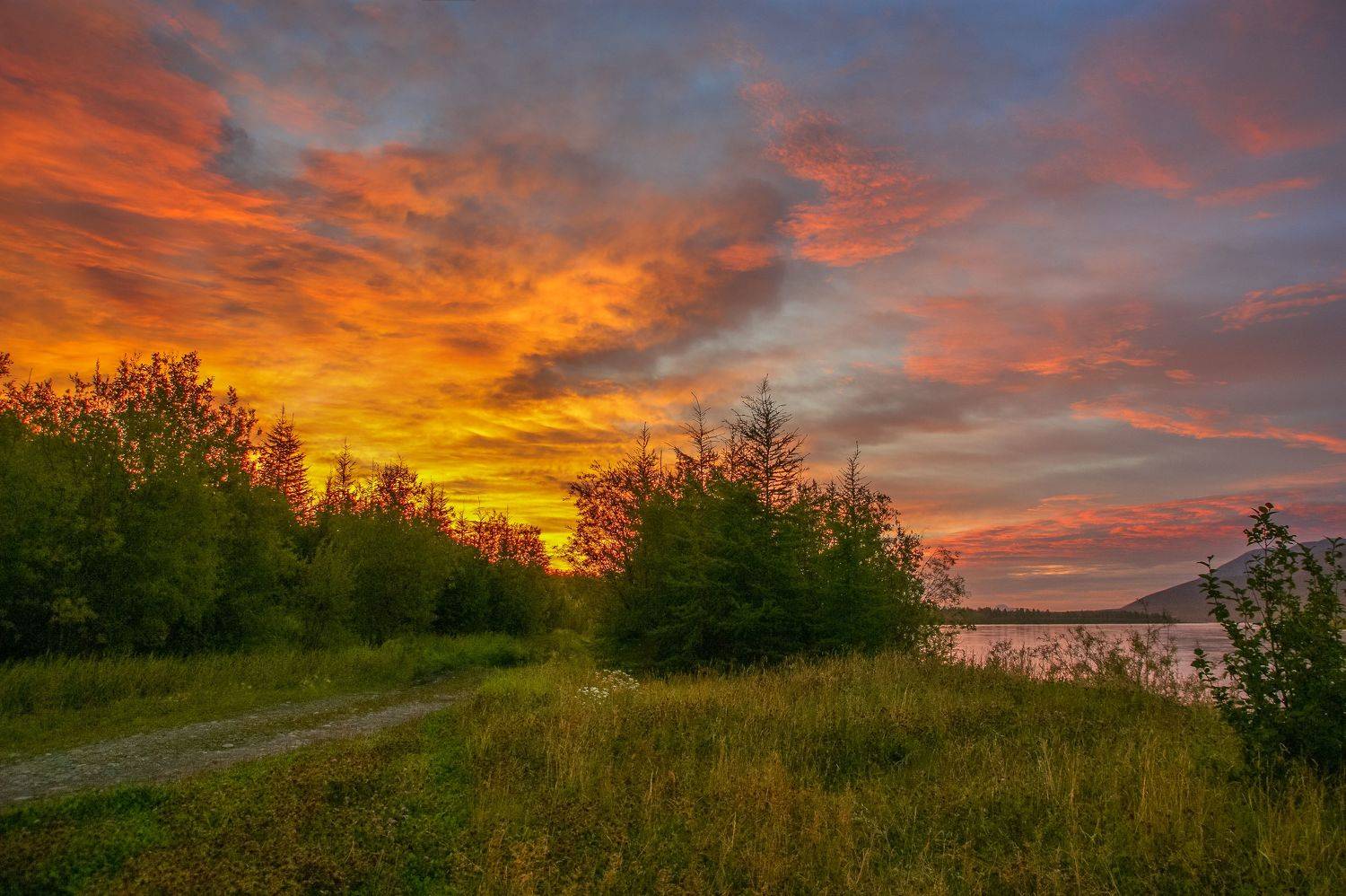 , Андрей Загребельный