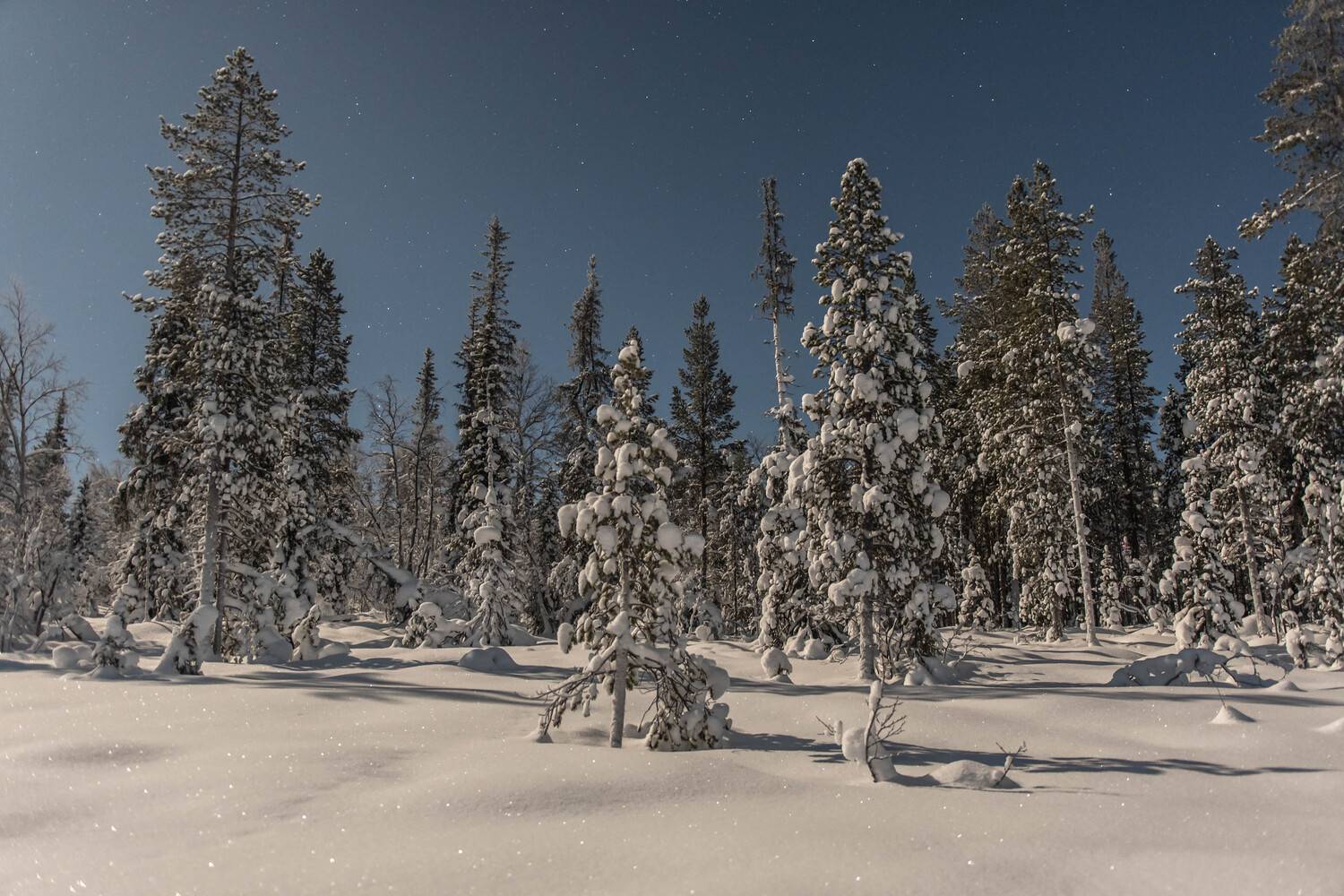 , Сергей Каверин
