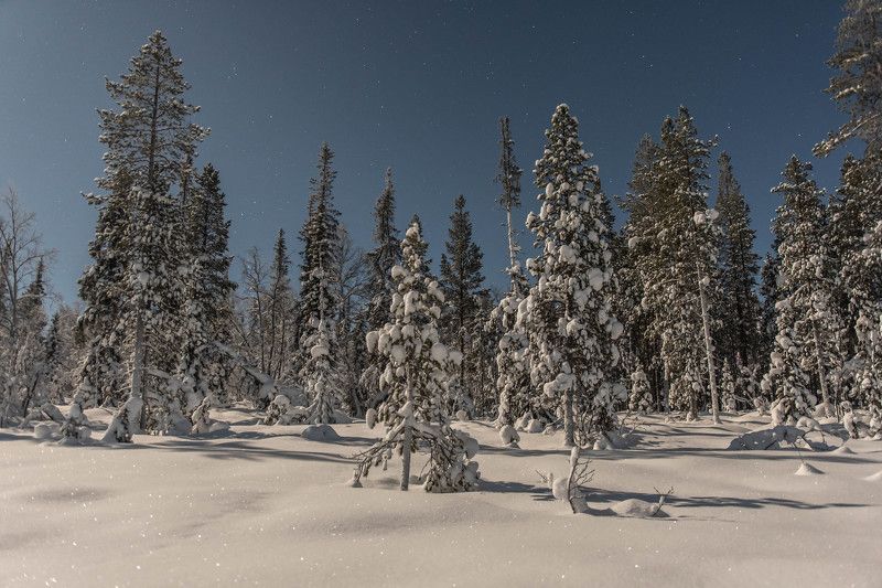 Лунный свет фото превью