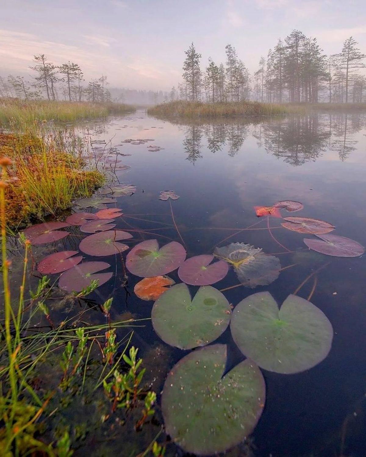 , Петр Косых