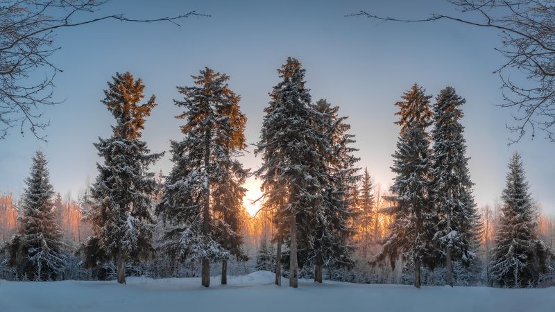На закате дня фото превью