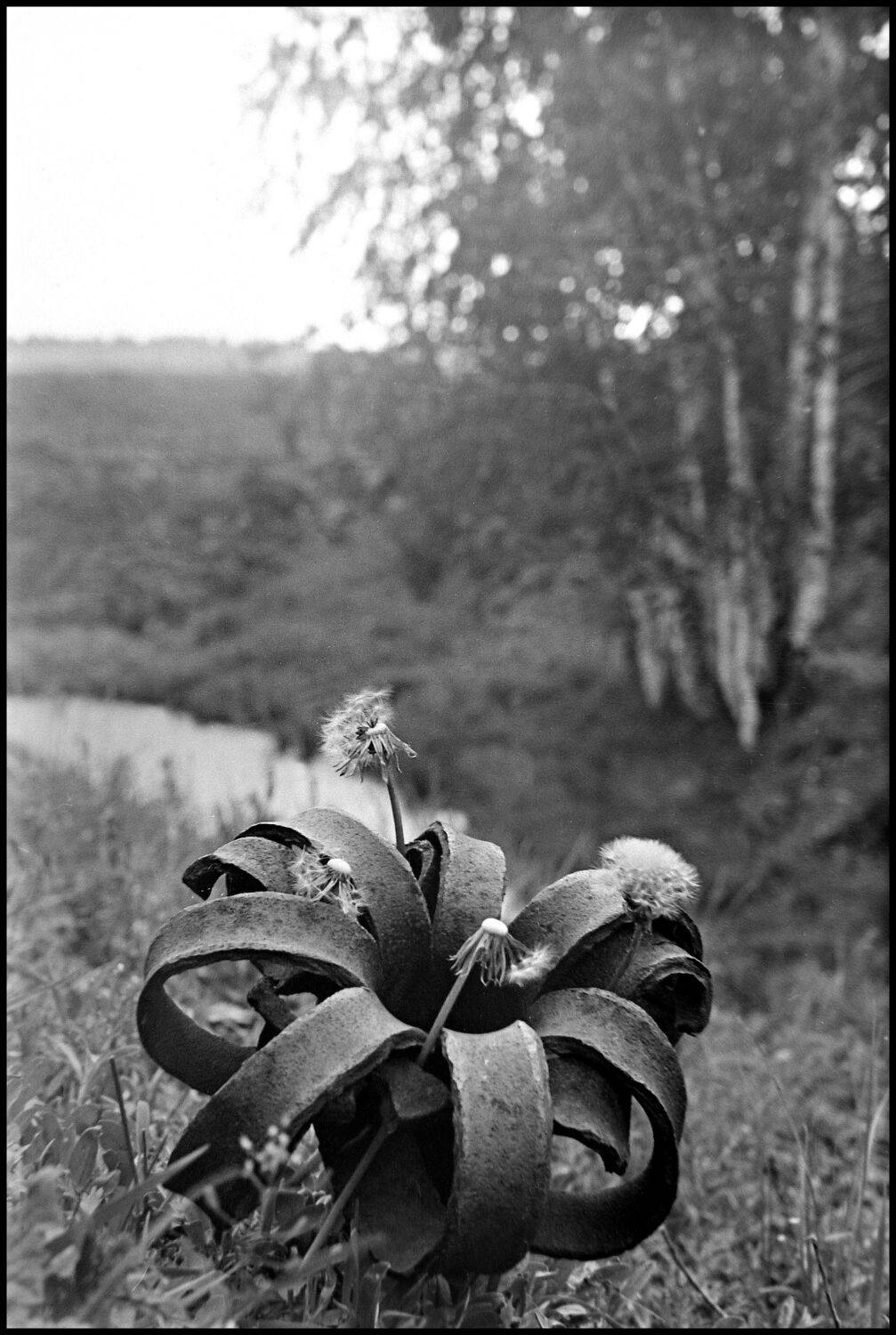 , Меднов Влад