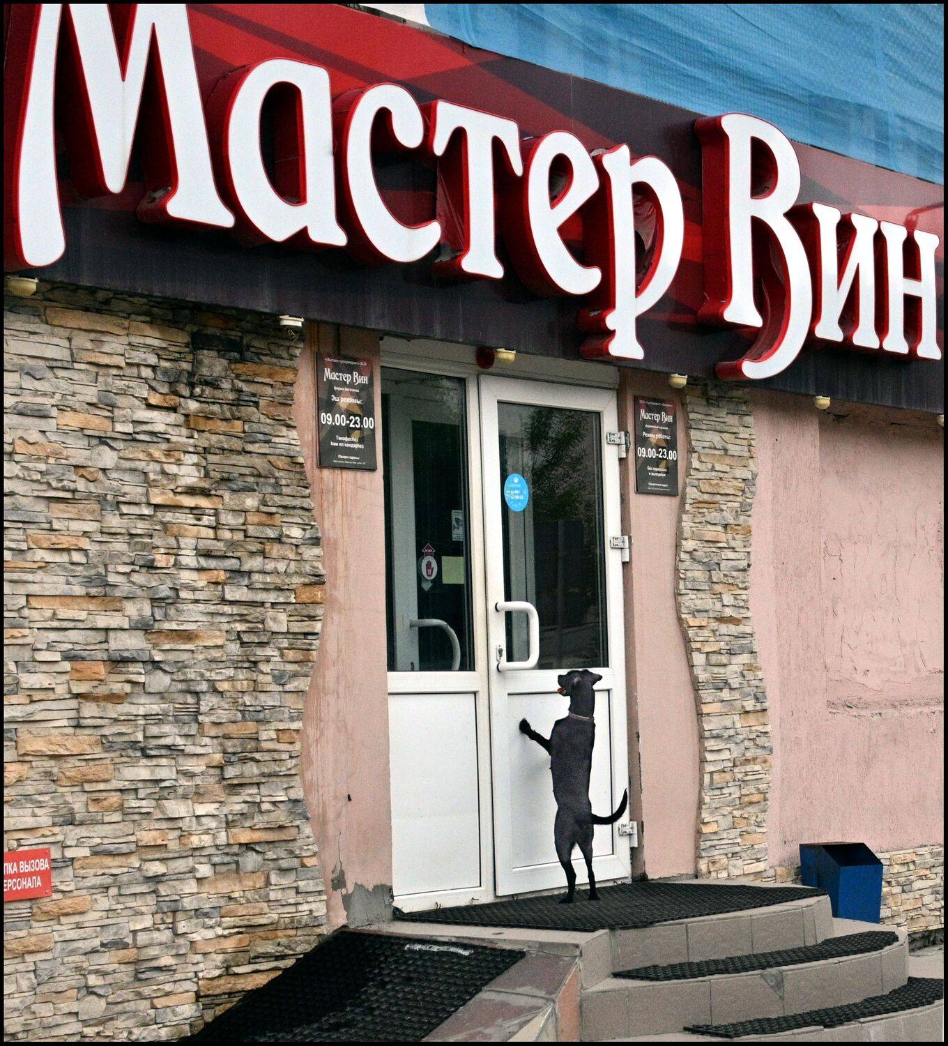 , Меднов Влад