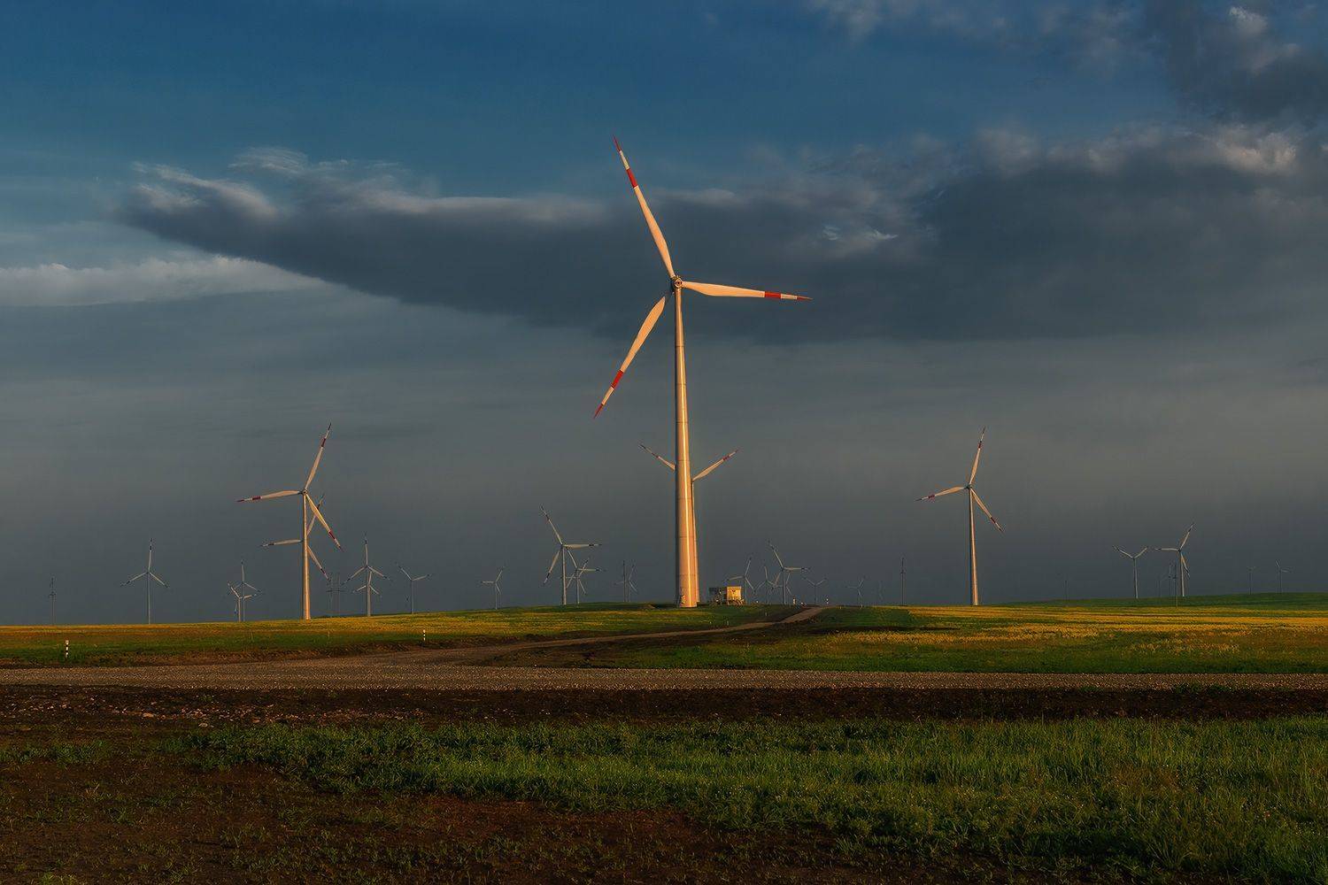 вэс, природа, пейзаж, рассвет, ставрополье,, Алиева Татьяна