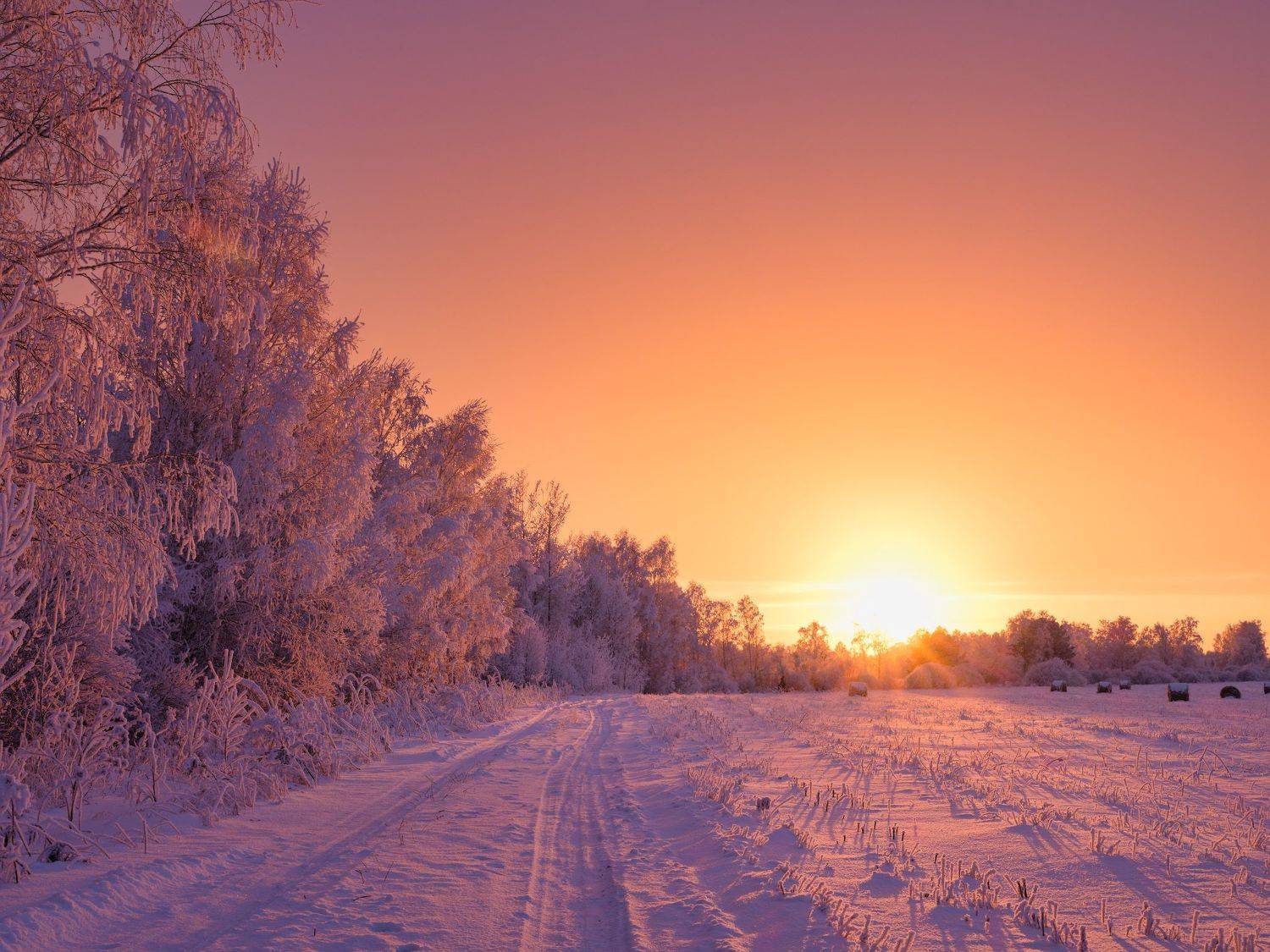 зима, зимний пейзаж, пейзаж ,снег, закат, мороз, winter, fujifilm, Леонтьев Константин