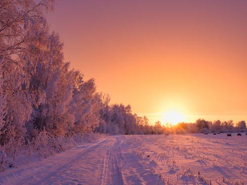 В закатном тумане. / In the sunset mist.