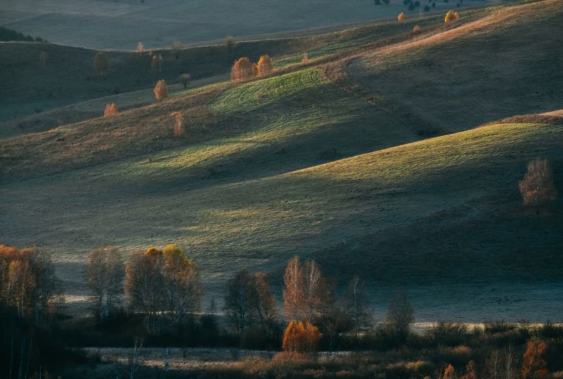 осень, пейзаж, закат, поле Осеннее фото превью