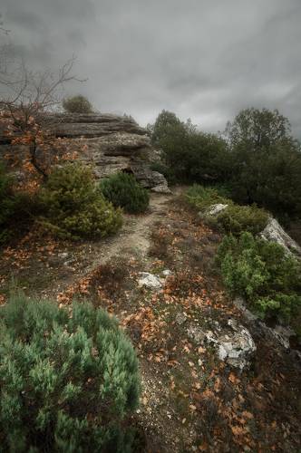 50 оттенков зелени в январе