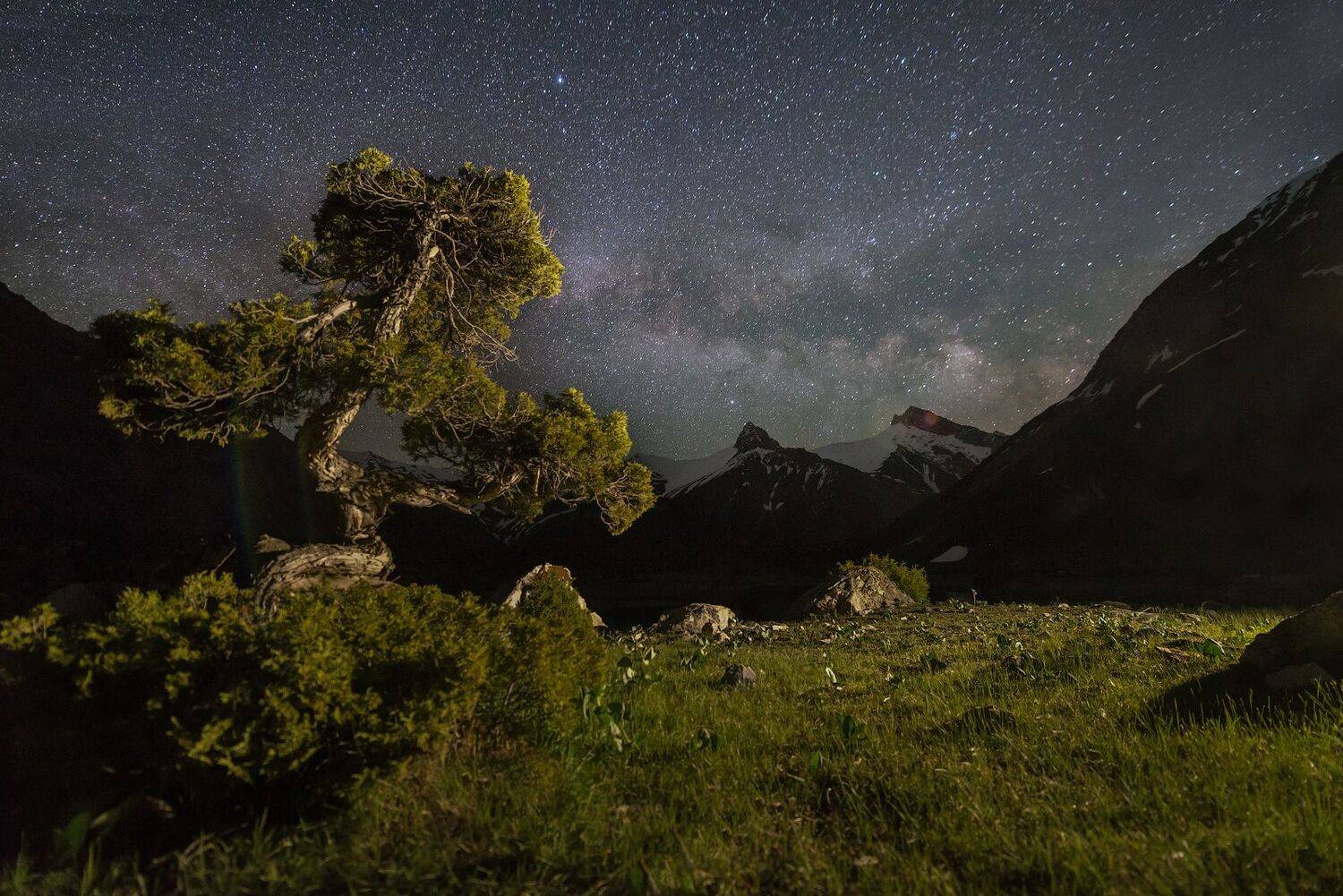 памир фанские, Кутыгин Эдуард