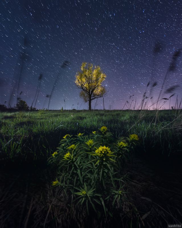 feather фото превью