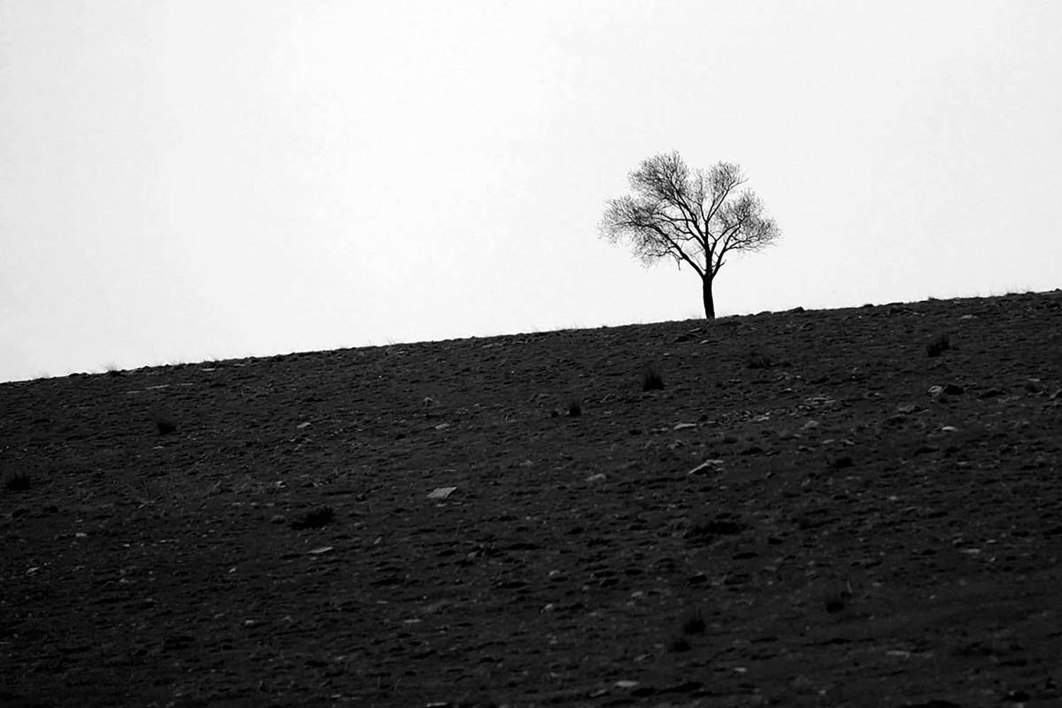 , mehdi karimi souderjani