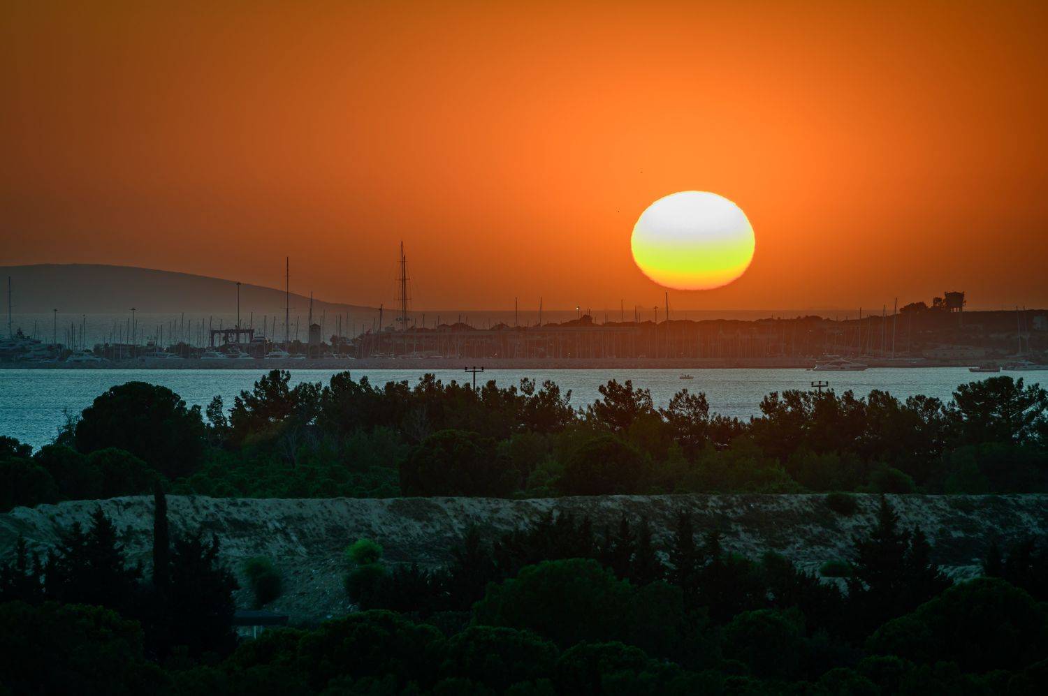 , Олег Сторожев