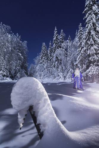 Прогулки Деда Мороза по своим угодьям
