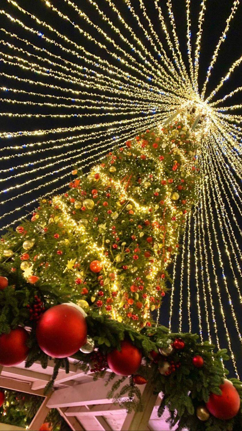 , Аседач Александр