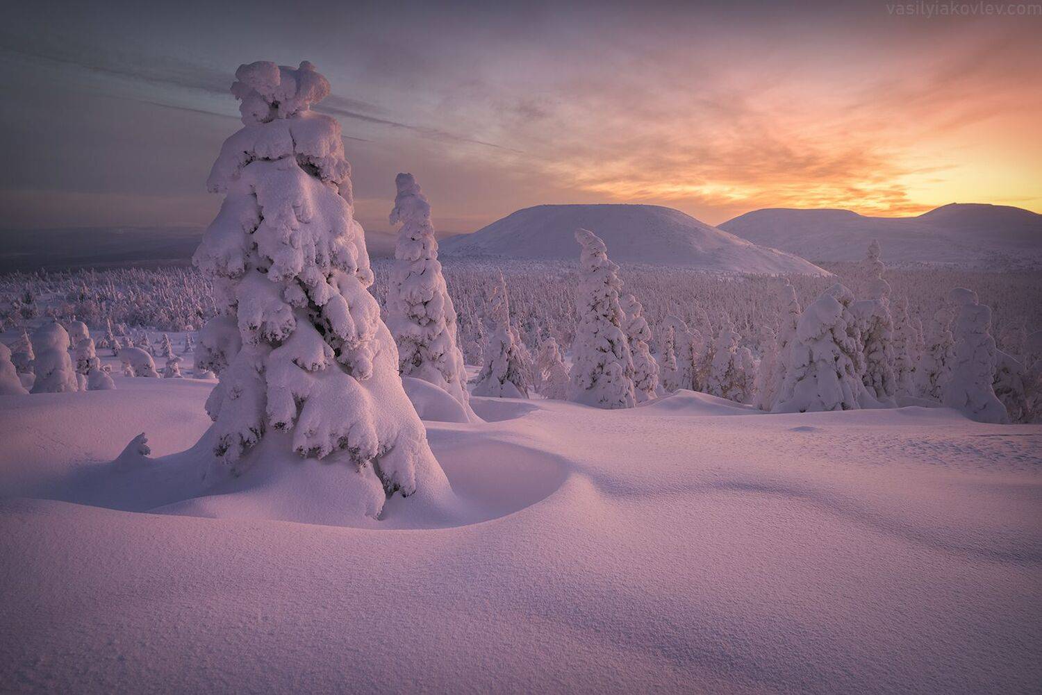 гух, фототур, яковлевфототур, Василий Яковлев