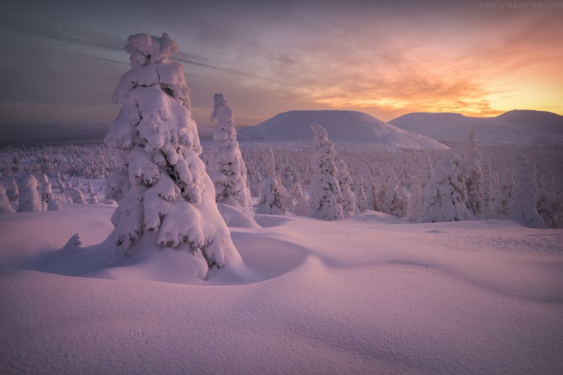 Планета ГУХ фото превью