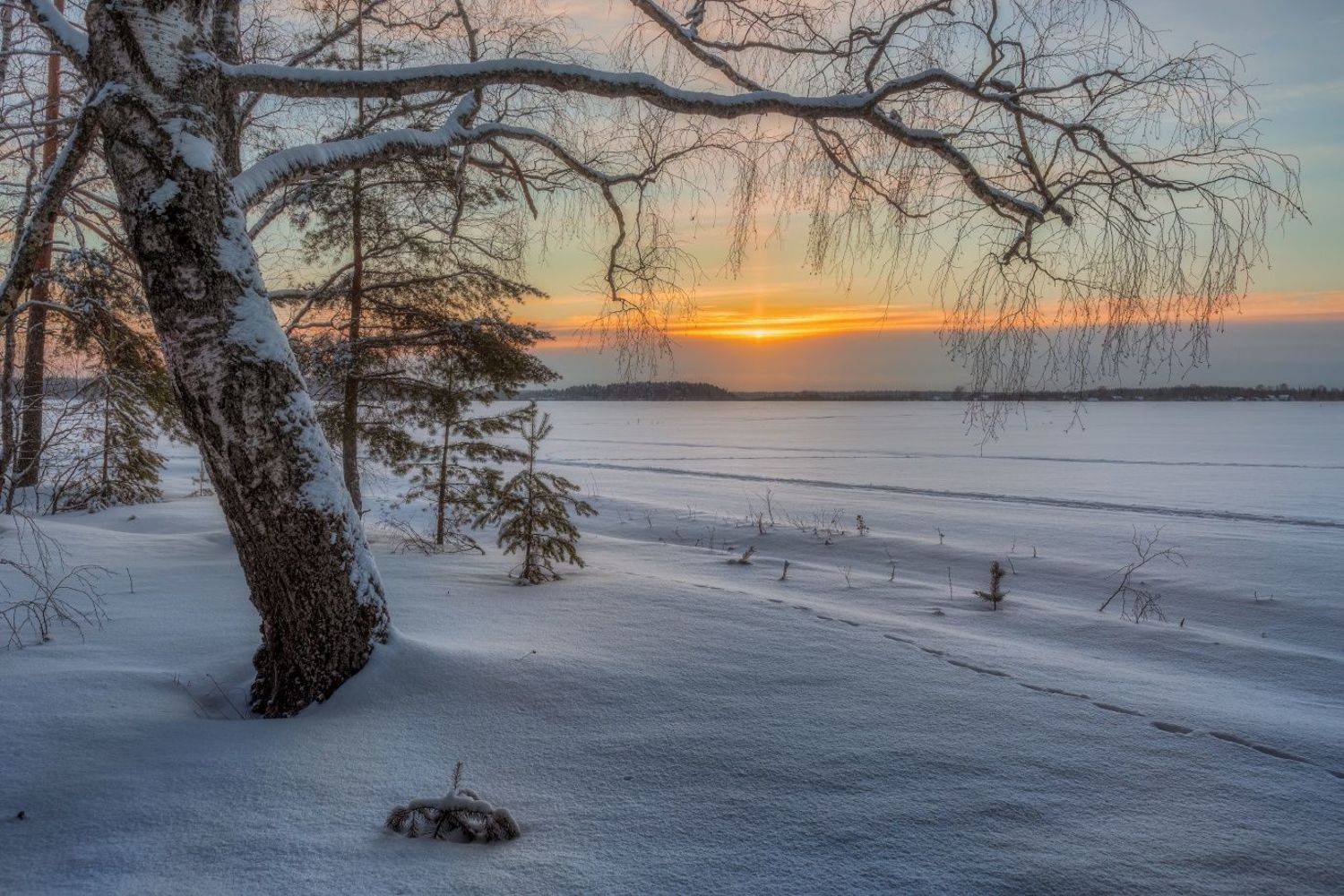 , Евгений Ерохин