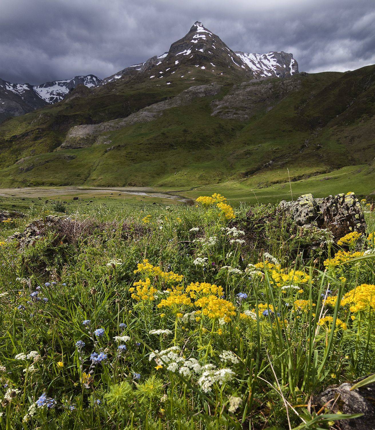 photography, mountain, spring, flower, landscape, photo, awakening, flowers, land, landmark, lands, dramatic ligth, ligth, mountains, jimenez millan samuel