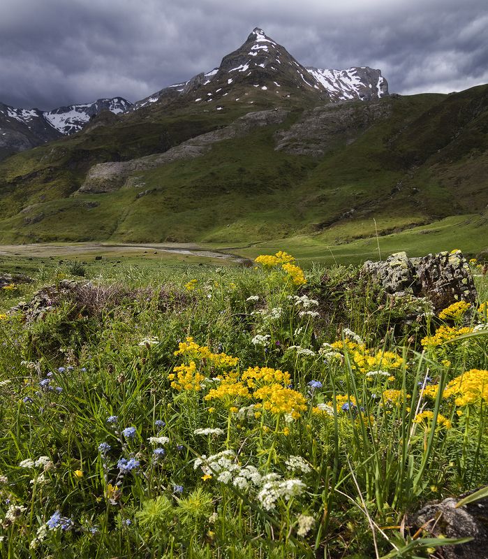Spring song фото превью