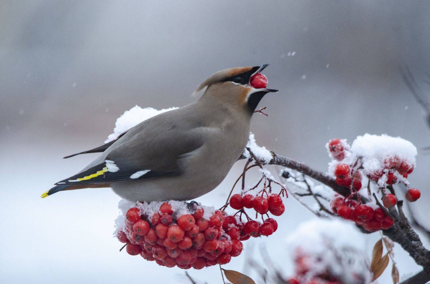 , Ольга Лукахина
