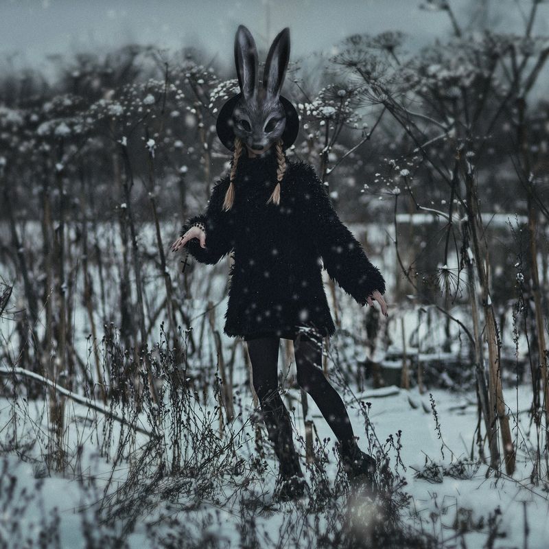 black rabbit  фото превью