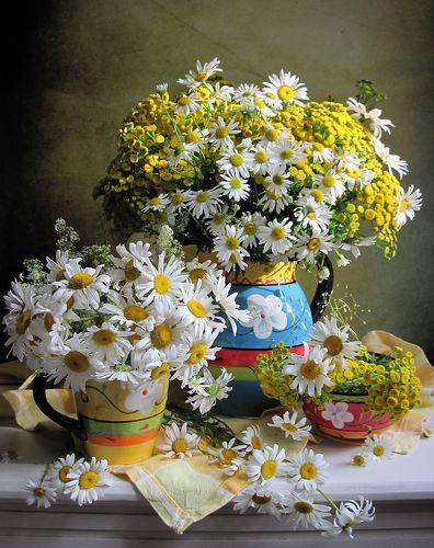 С ромашками и пижмой