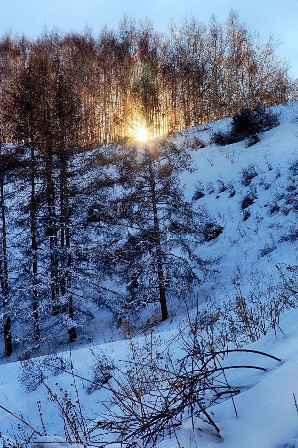 кыргызстан, ак-тюз, Элина Магалимова