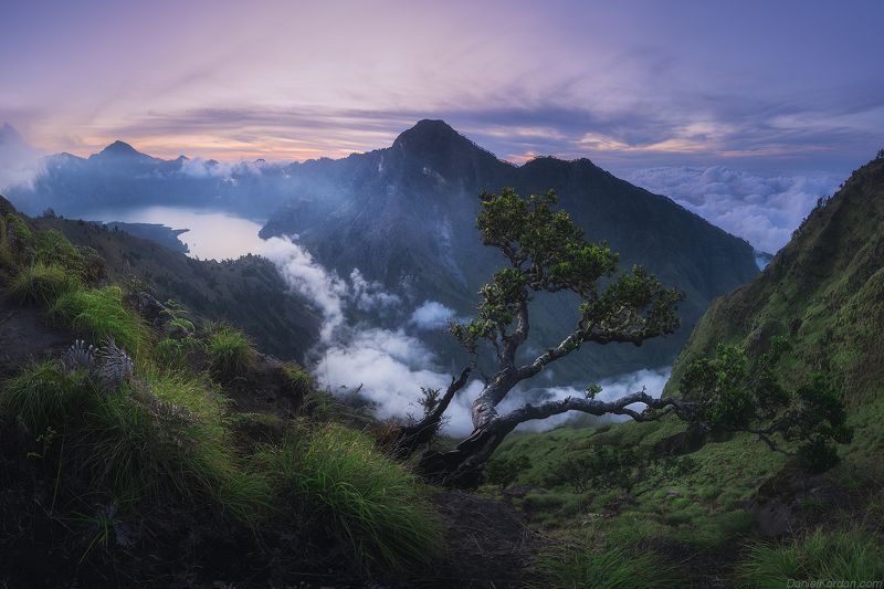 Rinjani