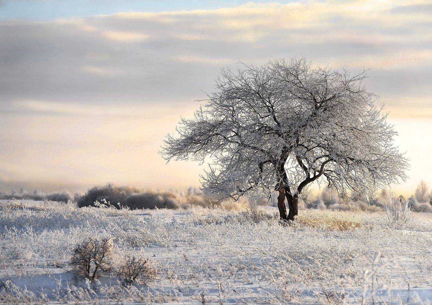 , Александр Степочкин