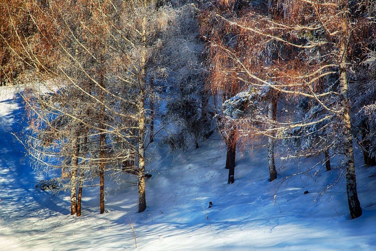 кыргызстан, ак-тюз, Элина Магалимова