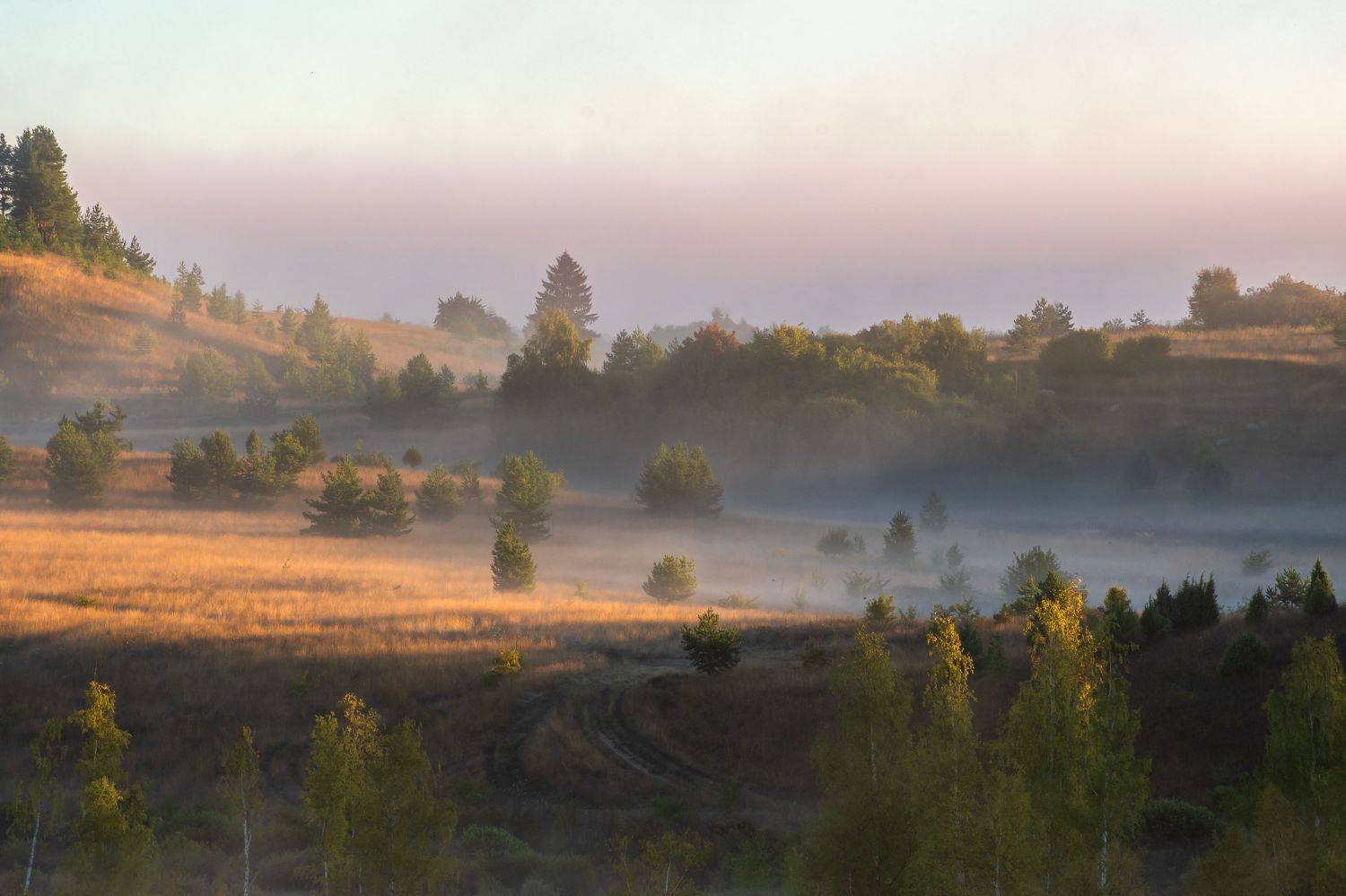 , Виктор Желенговский
