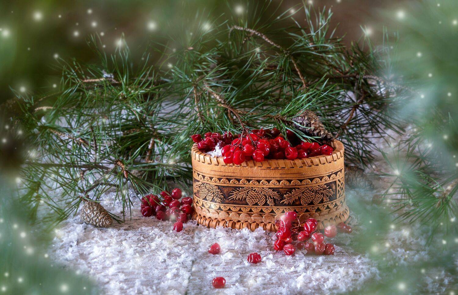 , Тришина Галина